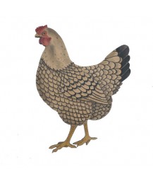 Wyandotte Hen Wall Plaque Wyandotte Hen Wall Plaque